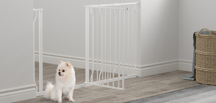Puppy Gate: