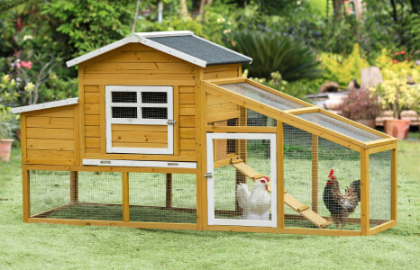 Chicken Coop: