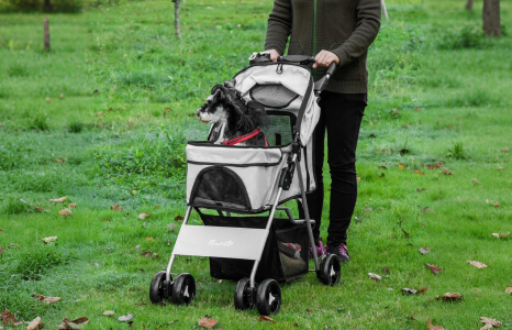 Puppy Stroller: