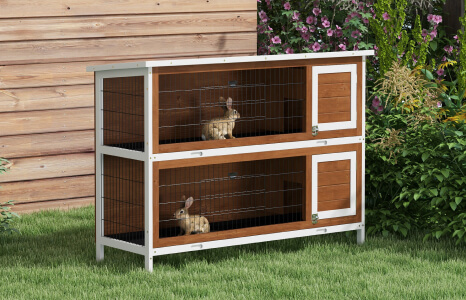 Rabbit House: