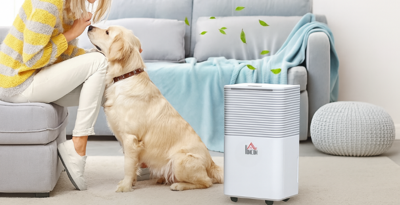 Air Circulator with Timer