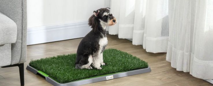 No cold, late-night trips
