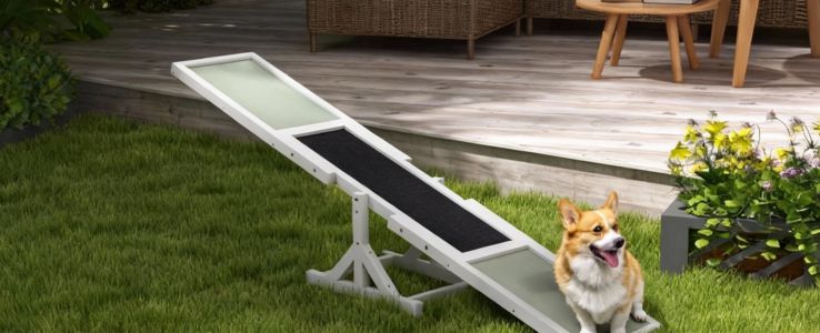 Staying close, learning together.