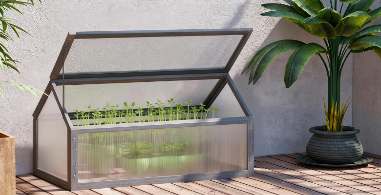 COLD FRAME