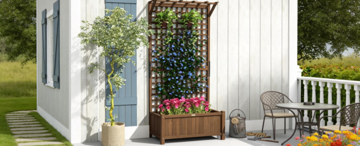 Raised Beds With Trellis