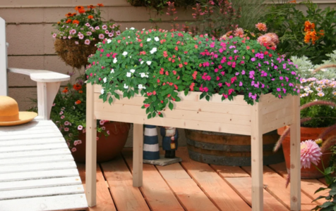 Wooden Raised Beds