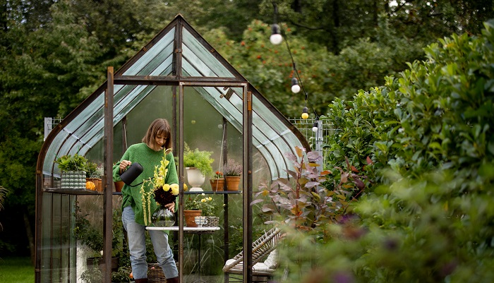 4.1 Roof Slope and Water Accumulation