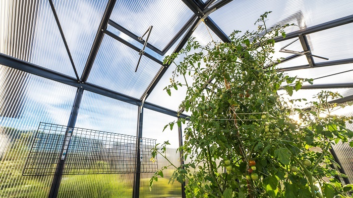 3.2 Rigid Panel Greenhouses