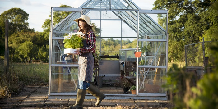 3.3 Structural Displacement Without Structural Damage