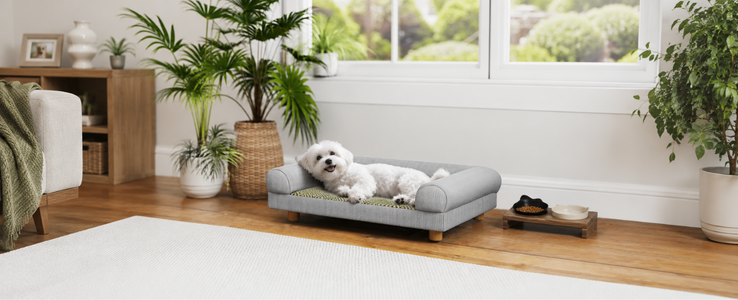 Dog Sofas and Pet Beds