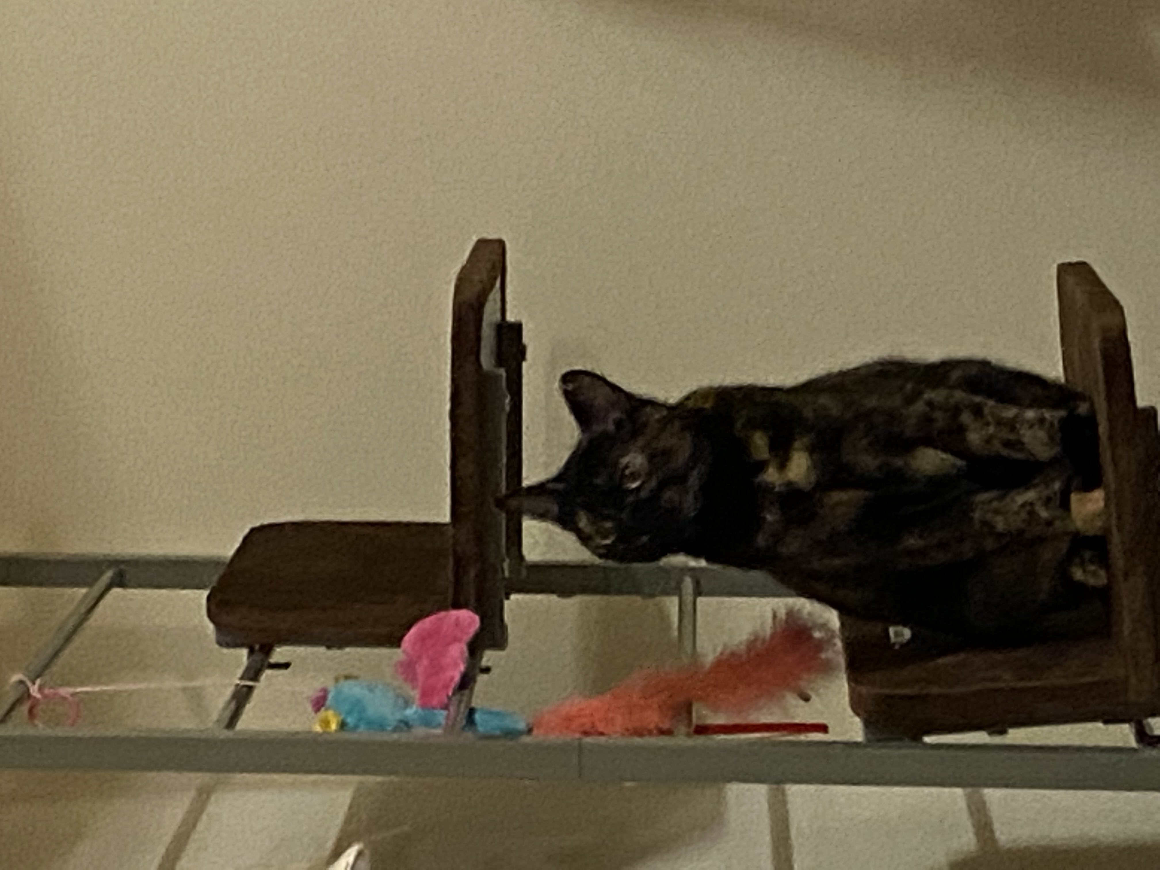 Pawhut 108" FloortoCeiling Adjustable Staggered Climbing Cat Tree Tower / climbing cat ladder