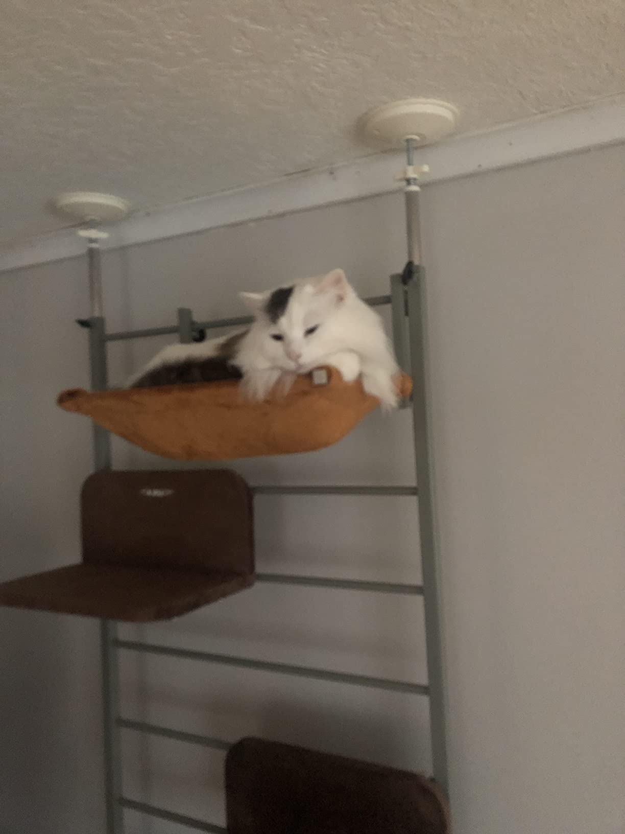 Pawhut 108" FloortoCeiling Adjustable Staggered Climbing Cat Tree Tower / climbing cat ladder