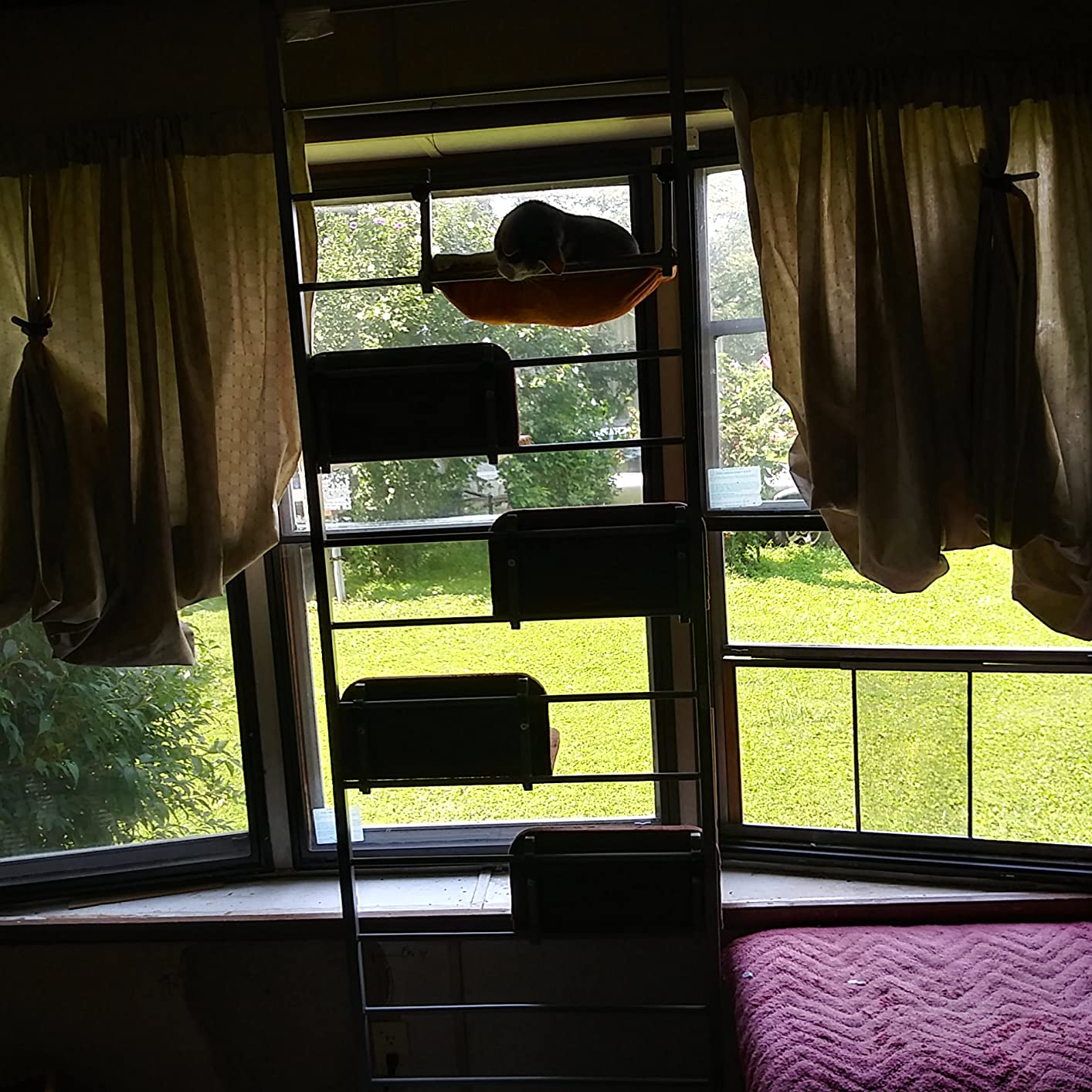 Pawhut 108" FloortoCeiling Adjustable Staggered Climbing Cat Tree Tower / climbing cat ladder