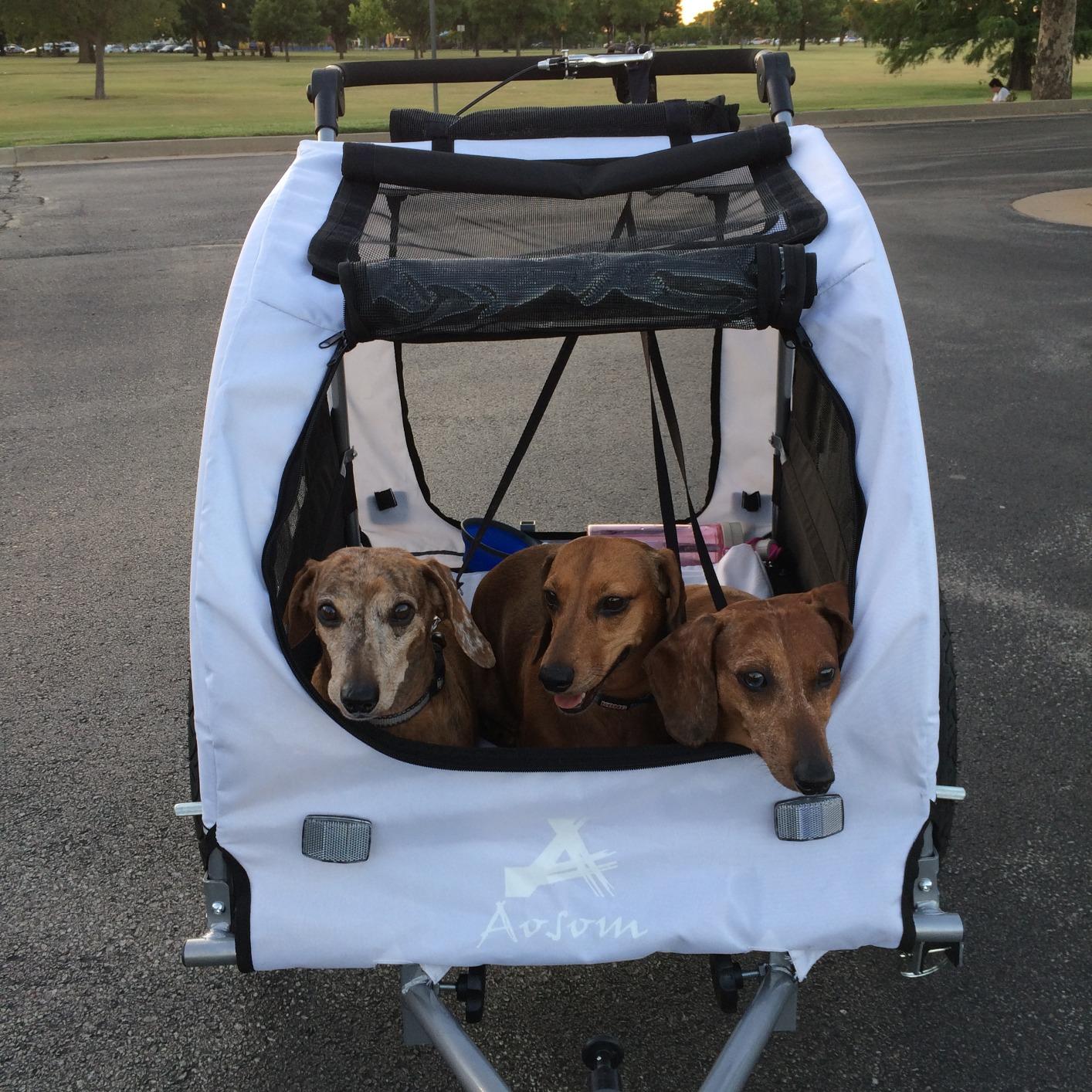 Aosom Elite II Pet Trailer Dog Bike Bicycle Stroller Jogger White