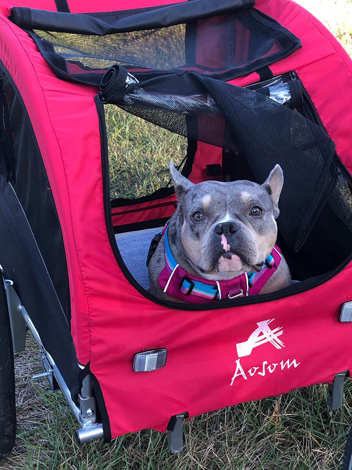 Aosom Elite II 2In1 Pet Dog Bike Trailer With Suspension And Storage Pockets Red