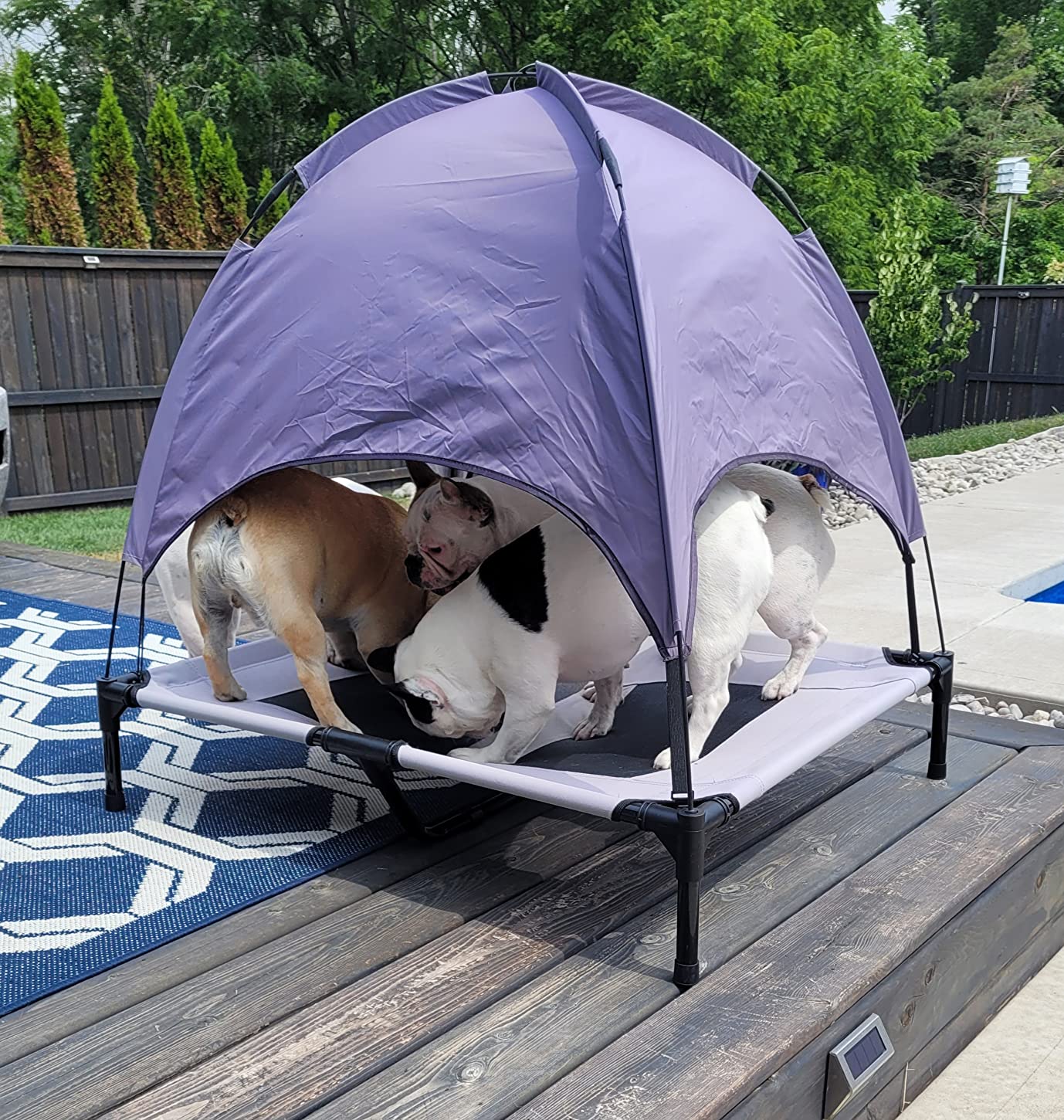 36.25 Pet Bed, Modern Portable Elevated Dog Bed With Removable Canopy Metal Frame Protective Foot Pad Raised Pet Dog Cot Shade Tent Pets Camping Coffee 36.25 Pet Bed, Modern Portable Elevated Dog Bed With Removable Canopy Metal Frame Protective Foot Pad Raised Pet Dog Cot Shade Tent Pets Camping Coffee