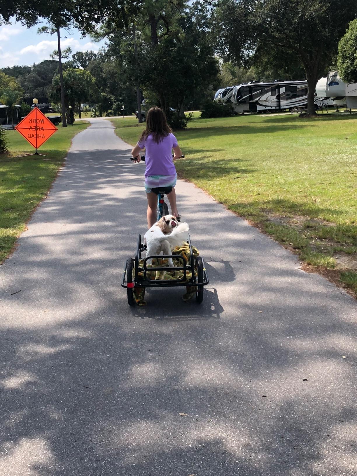aosom wanderer cargo bike trailer