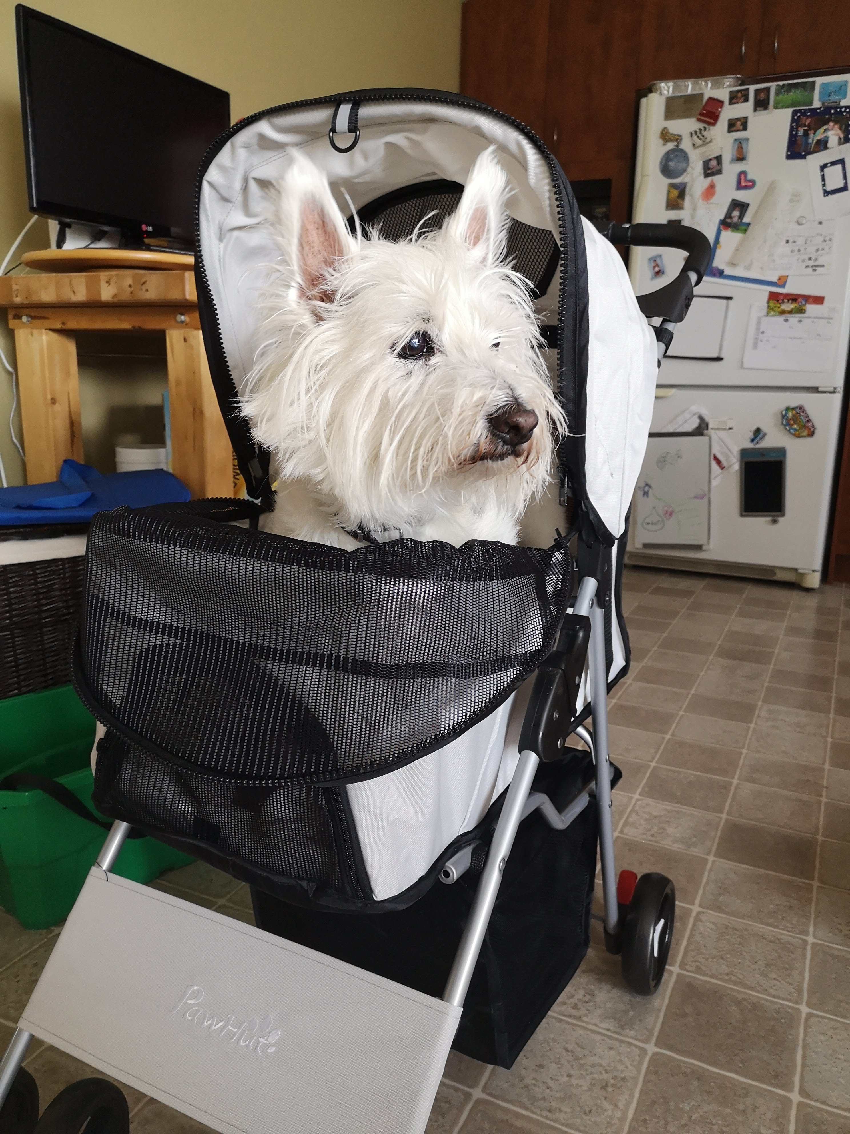 PawHut Pet Stroller 4 Wheels Jogging Stroller w/ Cup Holder, Basket