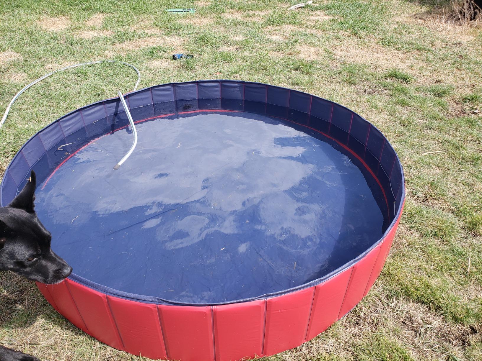 PawHut 63" Folding Pet Swimming Pool Dog Bath Puppy Bathing Tub