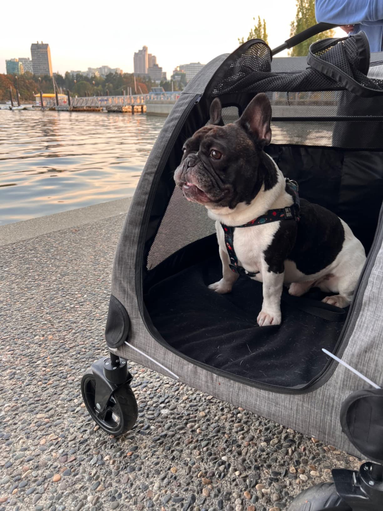 PawHut Pet Jogging Stroller Universal Wheel w/ Storage Basket