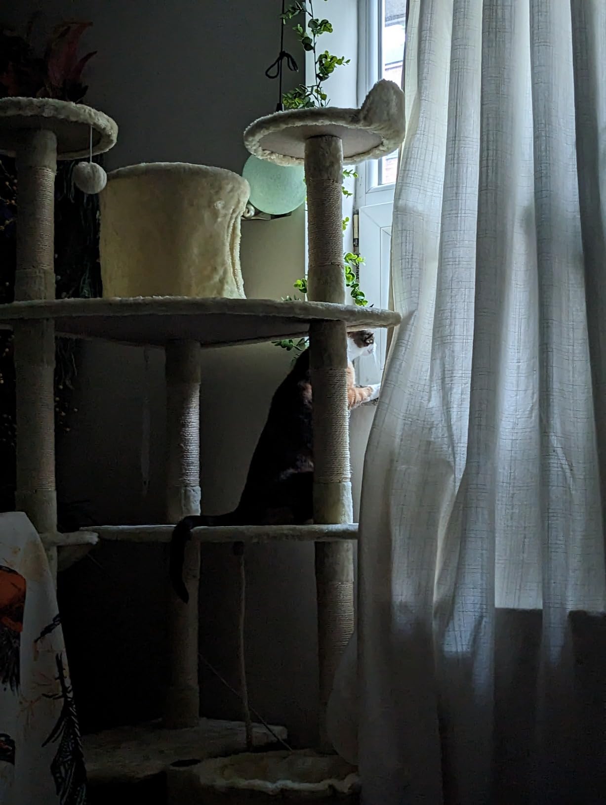 PawHut 79" Cat Tree MultiLevel with Two Condos, Kitty Tower with