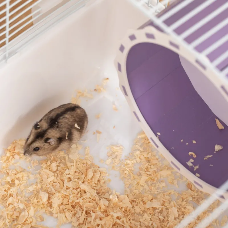 PawHut 2 Tier Hamster Cage Gerbil Rodent House Small Animal Habitat with Water Bottle, Exercise Wheel, Ladder, Hut, White