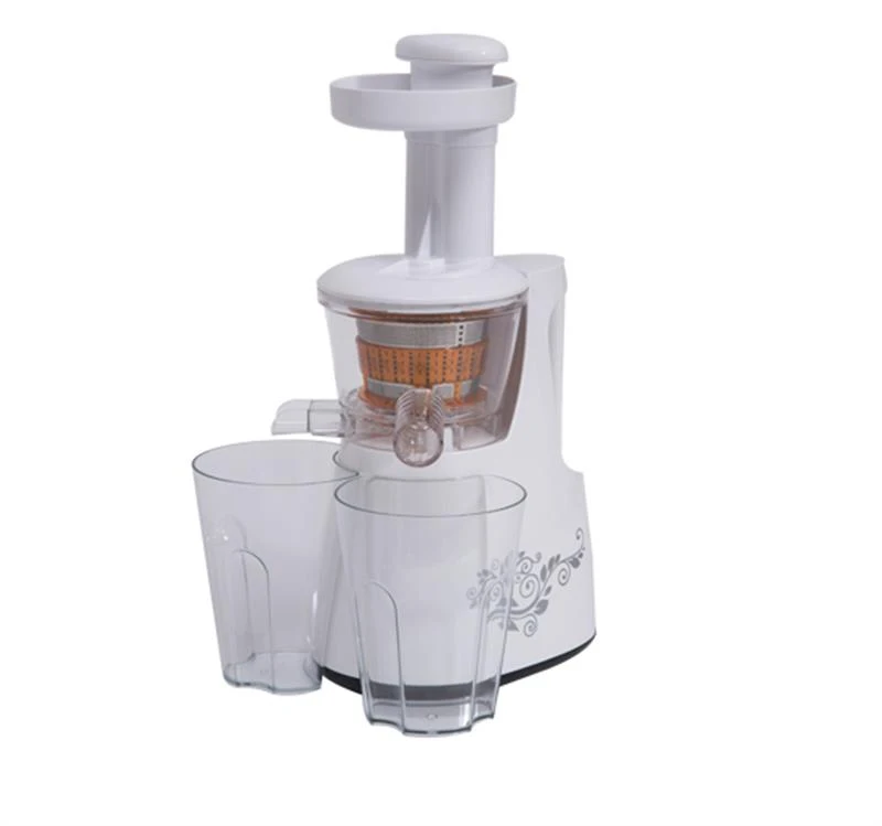 HOMCOM 150W Electric-powered Slow Juicer for Fruit Vegetable Processor White