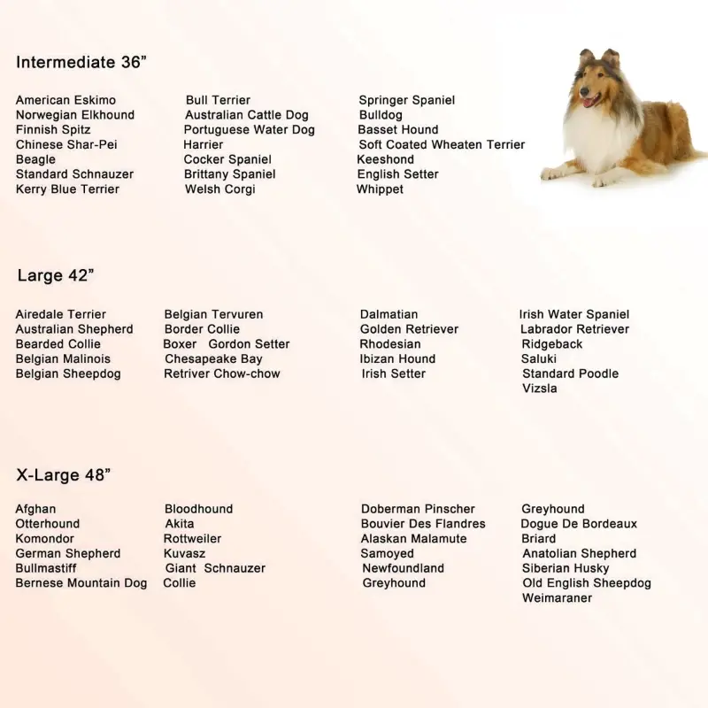 PawHut 42" Heavy Duty Dog Crate Metal Cage Kennel with Lockable Wheels, Double Door and Removable Tray, Brown