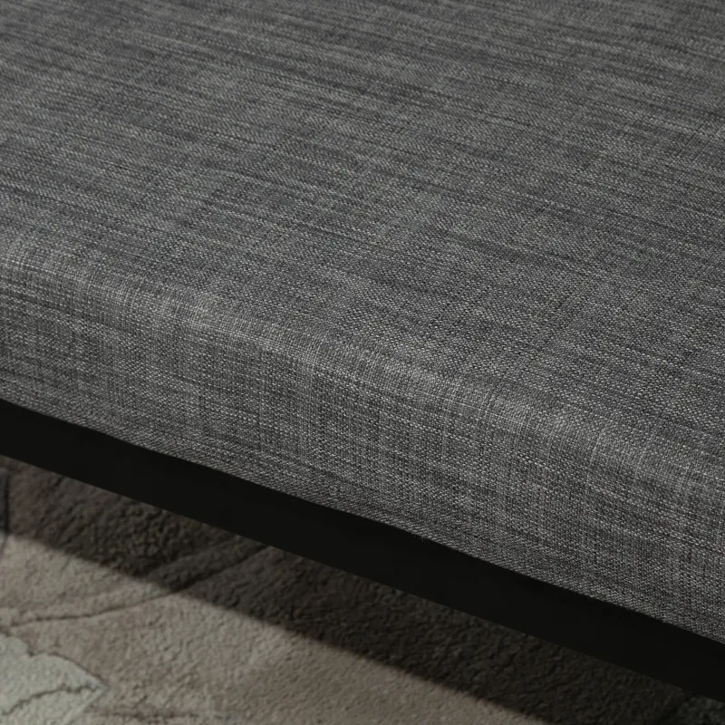 HOMCOM Single Person Chaise Lounger, Modern Sofa Bed with 5 Adjustable Positions, 2 Large Pillows, and Birch Legs, Charcoal Grey