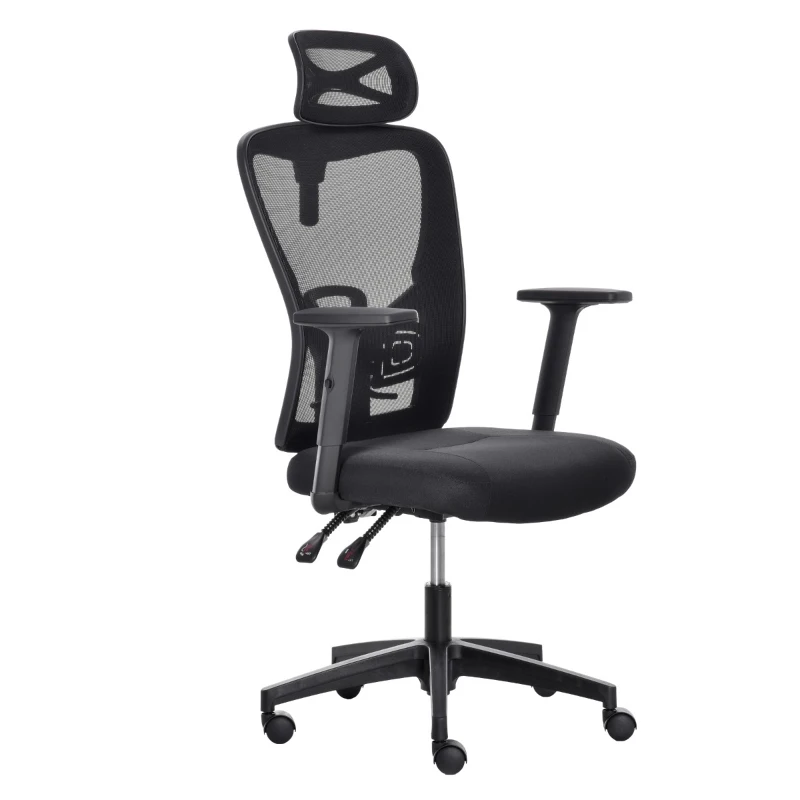 Vinsetto High Back Ergonomic Computer Home Office Chair, Mesh Task Chair with Lumbar Back Support, Reclining Function, Adjustable Headrest, Arms and Height, Black