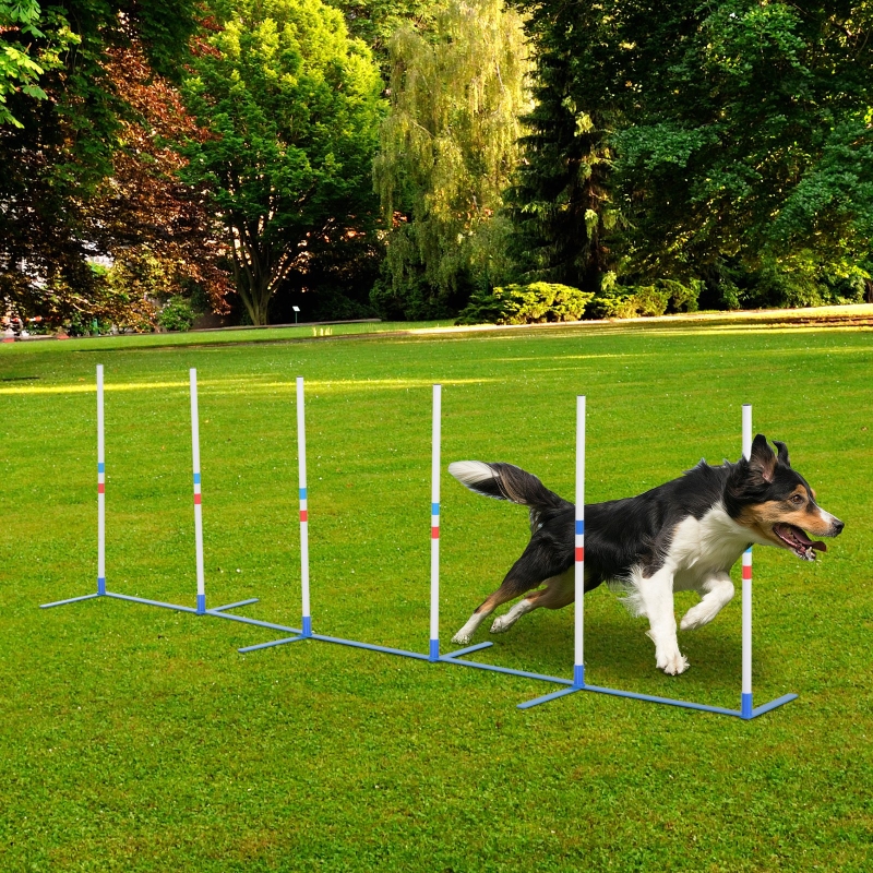 PawHut Adjustable Dog Agility Training Obstacle Set with Weaves Poles and Storage Bag for Pet Dogs Outdoor Games Exercise