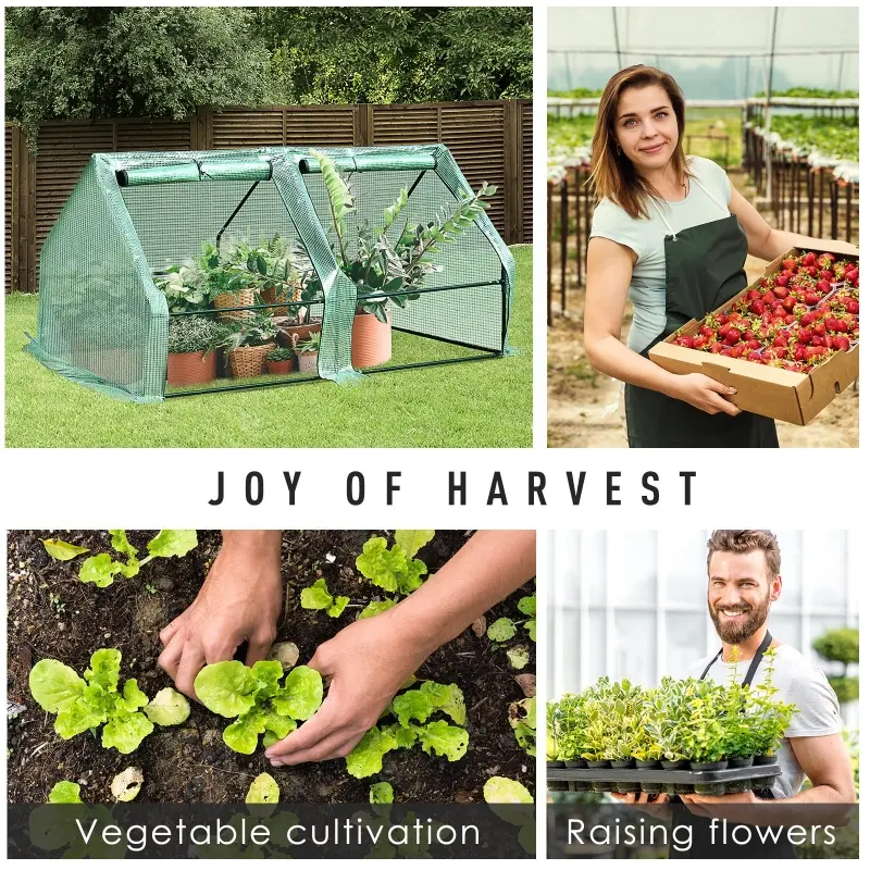 Outsunny 6' x 3' x 3' Mini Greenhouse with Zippered Doors & Roll-up Windows, Portable Plant Hot House with Durable PE Cover, Water Resistant, UV Protected for Outdoor Flowers, Vegetables, Green