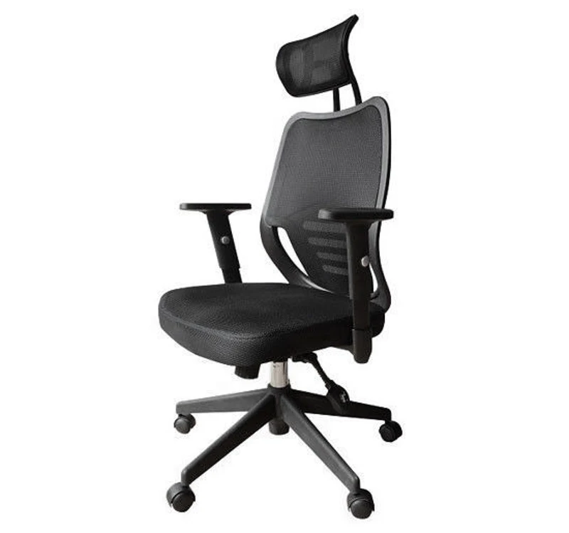 HomCom Ergonomic Mesh Office Chair with Headrest - Black