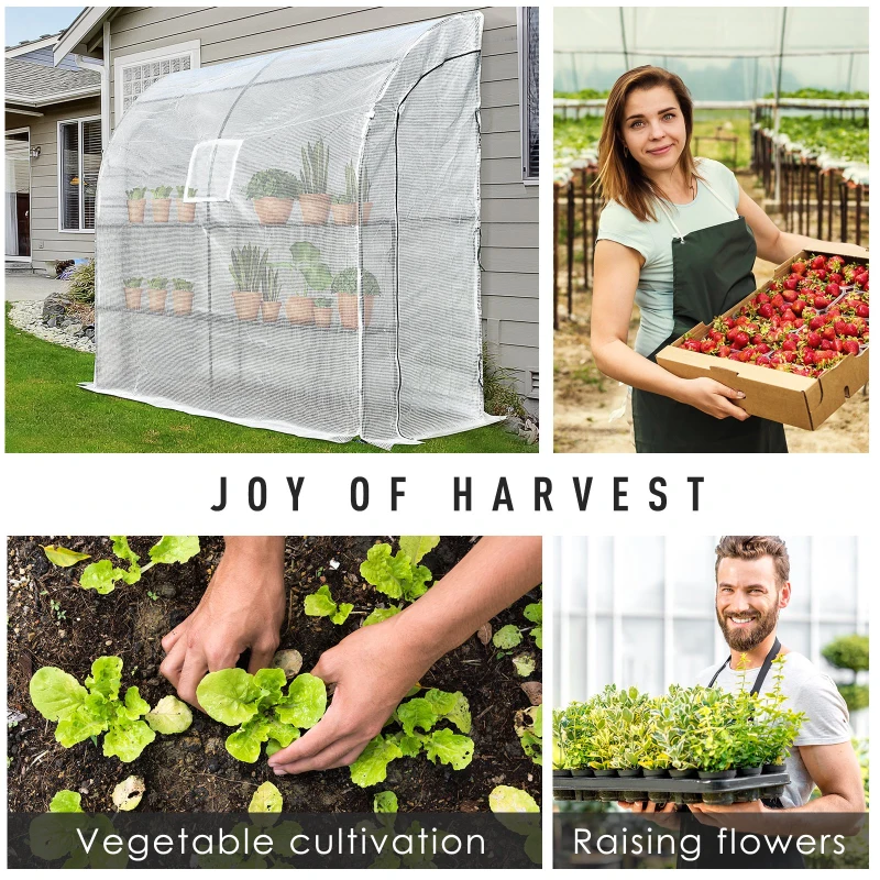 Outsunny 7' x 3' x 7' Outdoor Walk-In Greenhouse, Plant Nursery with Roll-up Windows, PE Cover, and 3 Wire Shelves