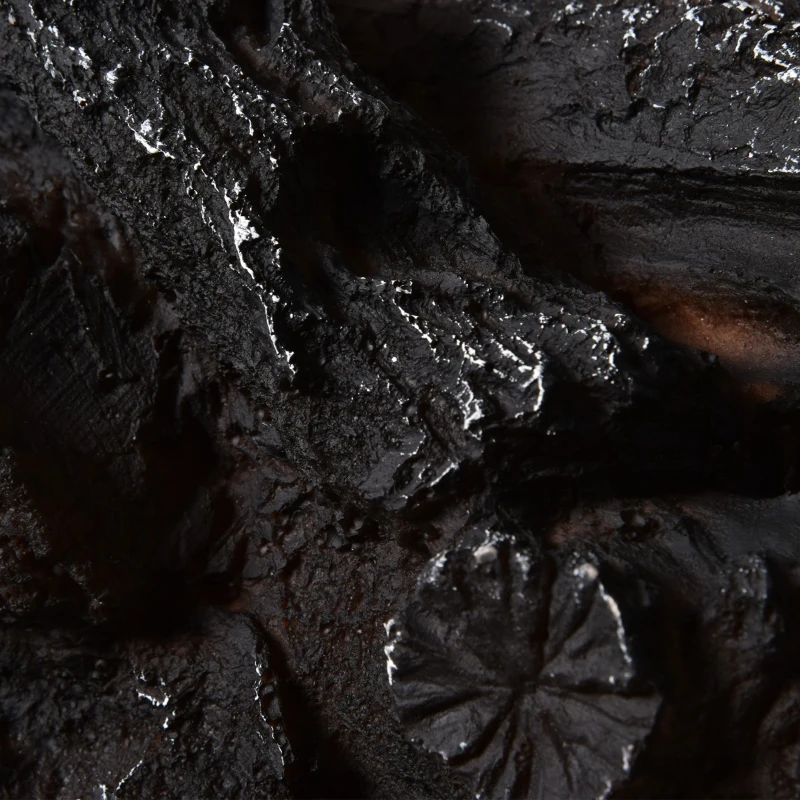 HOMCOM Electric Fireplace Insert Log with Realistic Ember Bed, Fireplace Heater with Remote Control, and 8H Timer, 1500W, Black