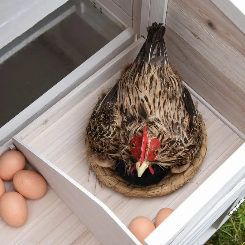 PawHut Wooden Chicken Coop Hen House with Removable Tray and Nest Box, 71" Rabbit Hutch and Poultry Cage with Ventilated Holes , White