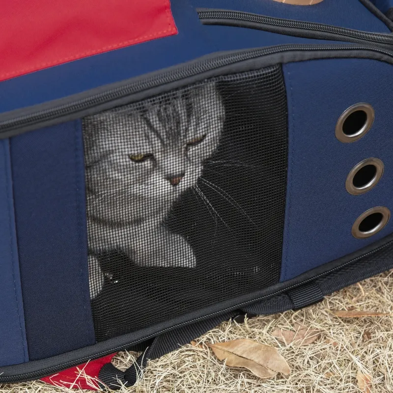 PawHut Foldable Pet Carrier Backpack with Two Storage Packets, Breathable Mesh, Transparent Window & Adjustable Shoulder Strap for Small Cats & Dogs Travel Hiking, Blue