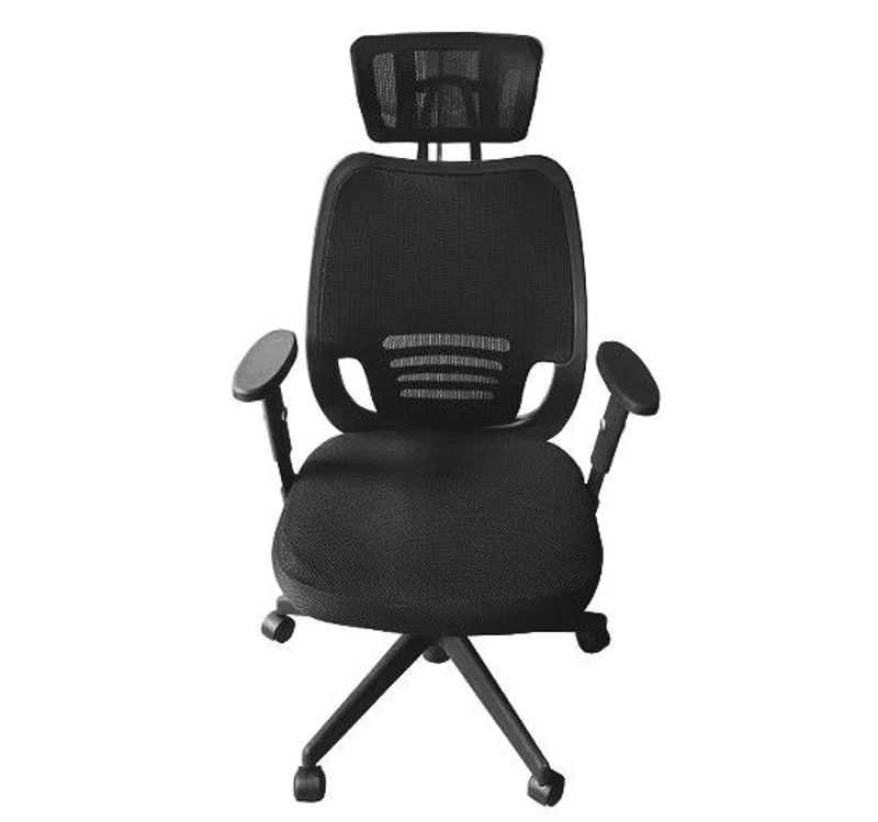 HomCom Ergonomic Mesh Office Chair with Headrest - Black