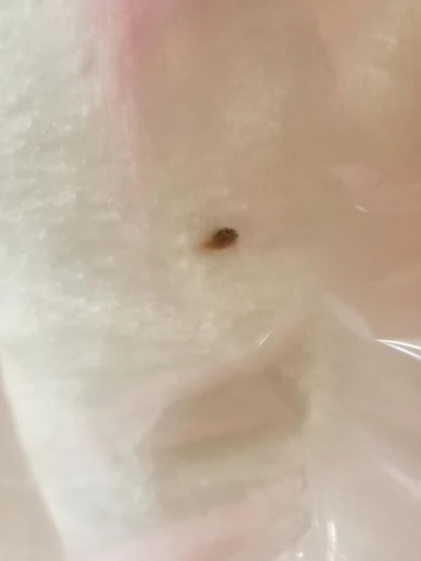 Open Box (Cosmetic Blemish) Qaba Kids Wooden Plush Ride-On Unicorn Rocking Horse Toy with Sing Along Songs