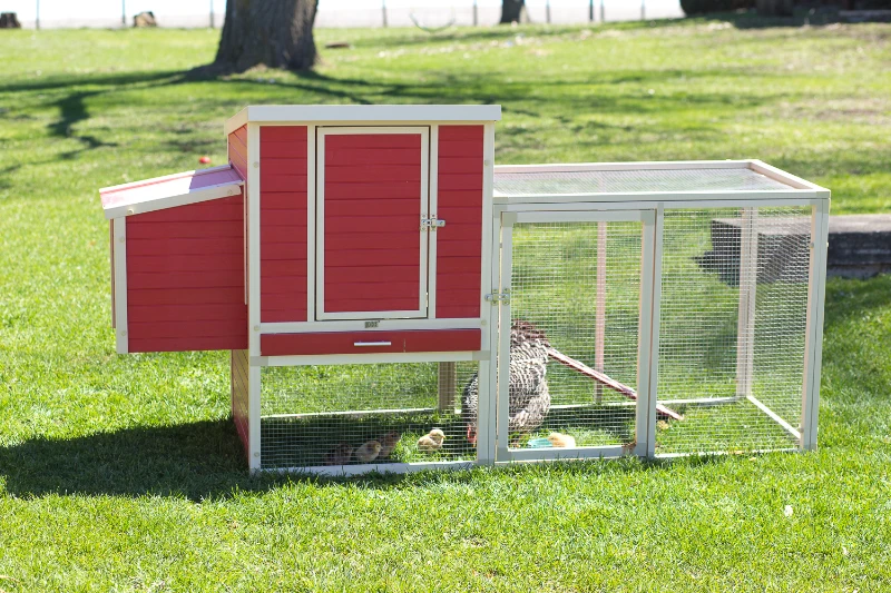 New Age Farm Sonoma Chicken Coop in Red and Maple