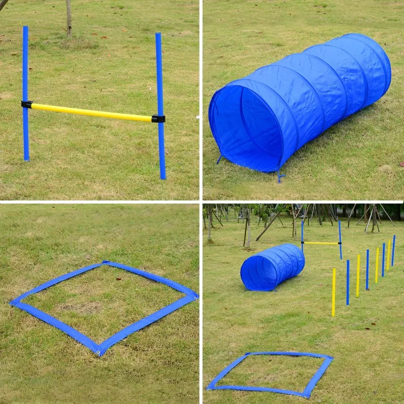 PawHut Competition Dog Agility Equipment Obstacle Course Set for Outdoor Backyard, Blue and Yellow
