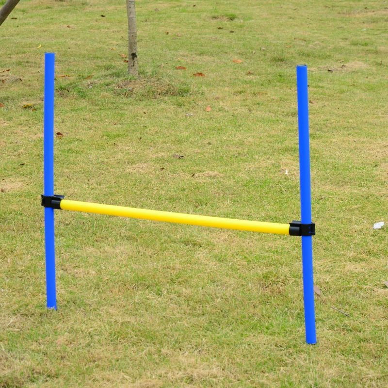 PawHut Competition Dog Agility Equipment Obstacle Course Set for Outdoor Backyard, Blue and Yellow