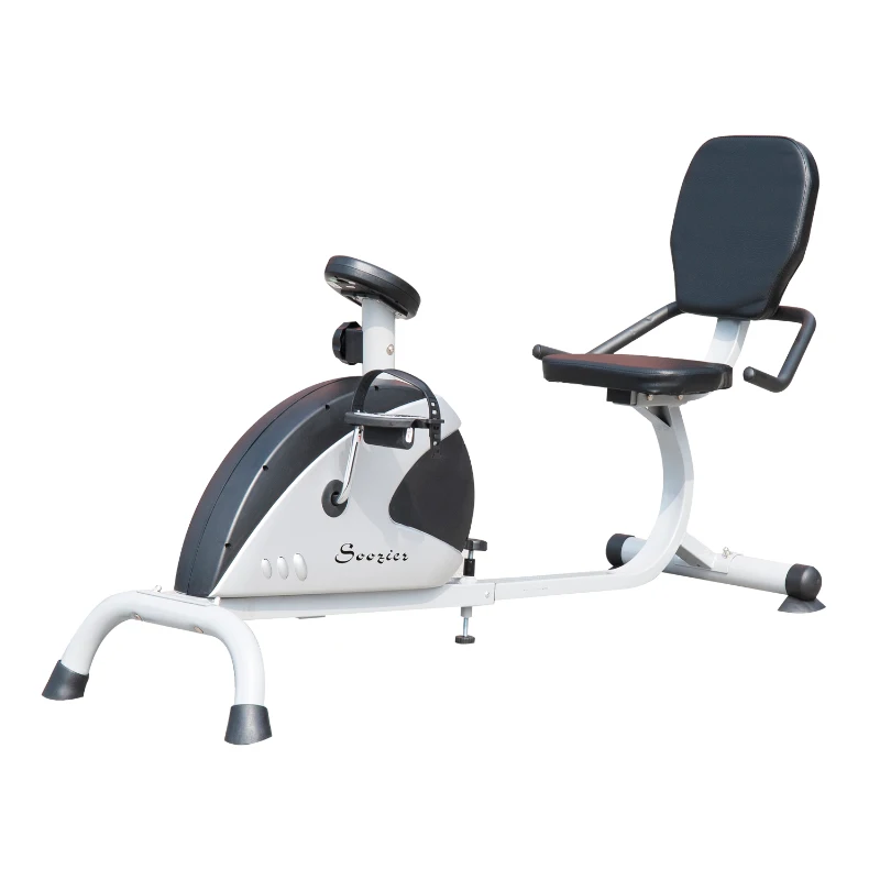Soozier Magnetic Recumbant Cardio Exercise Bike w/ LCD Display - Black and Silver