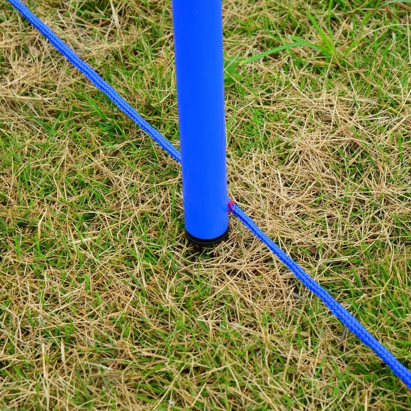 PawHut Competition Dog Agility Equipment Obstacle Course Set for Outdoor Backyard, Blue and Yellow