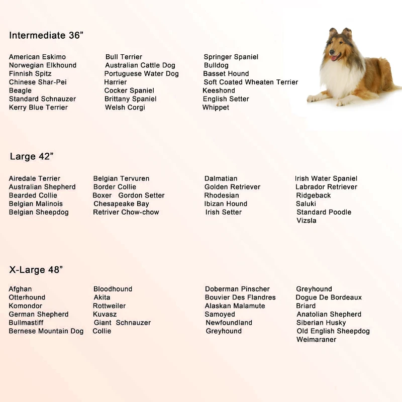 PawHut 42" Stainless Steel Elevated Indestructible Dog Kennel Rolling Pet Crate With Dual Pans