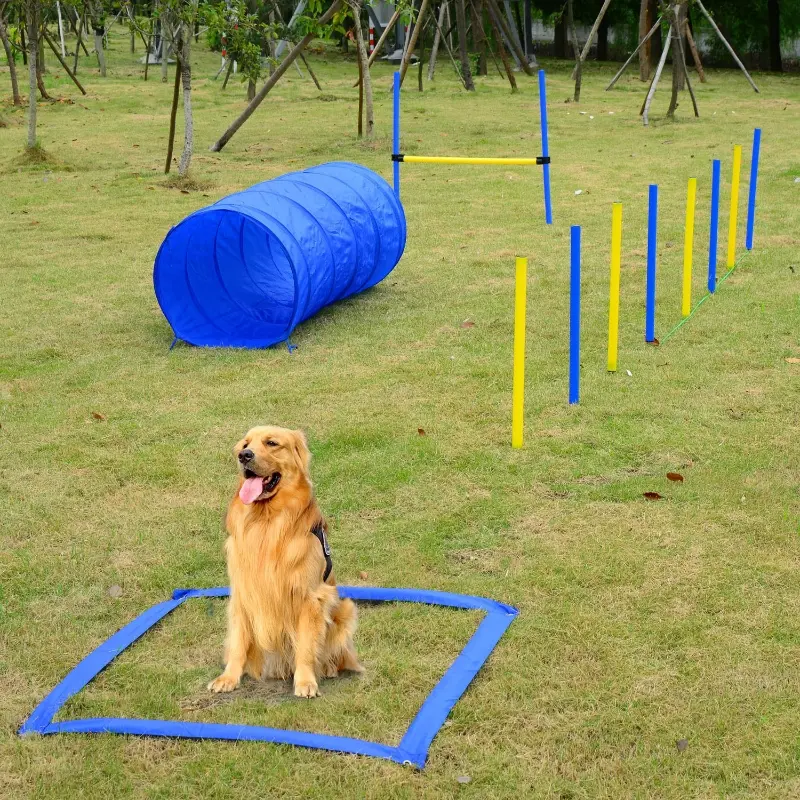 PawHut Competition Dog Agility Equipment Obstacle Course Set for Outdoor Backyard, Blue and Yellow