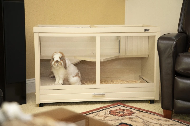 New Age Pet Park Avenue Indoor Rabbit Hutch-Maple