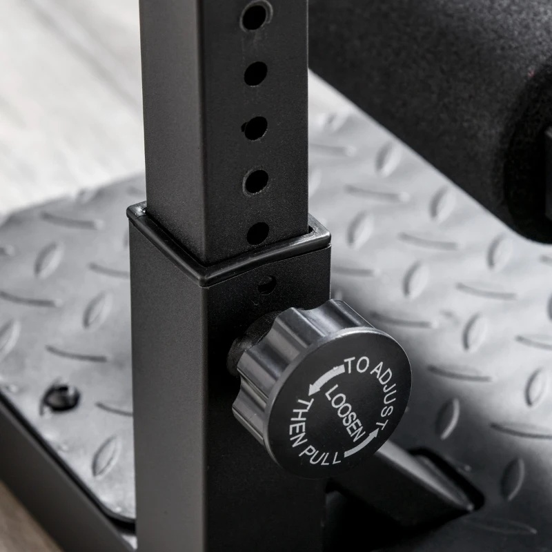 Soozier 3-in-1 Padded Push Up Sit Up Deep Sissy Squat Machine Abs Training Home Gym Fitness Workout Equipment