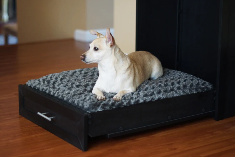 New Age Pet Murphy Bed with Memory Foam Cushion - Espresso