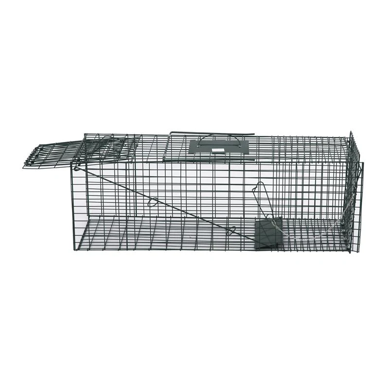 Pawhut 37" Humane Cage Live Small Animal Trap - Green